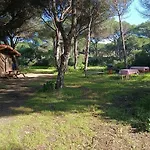 De Veron Lägenhet Conil De La Frontera