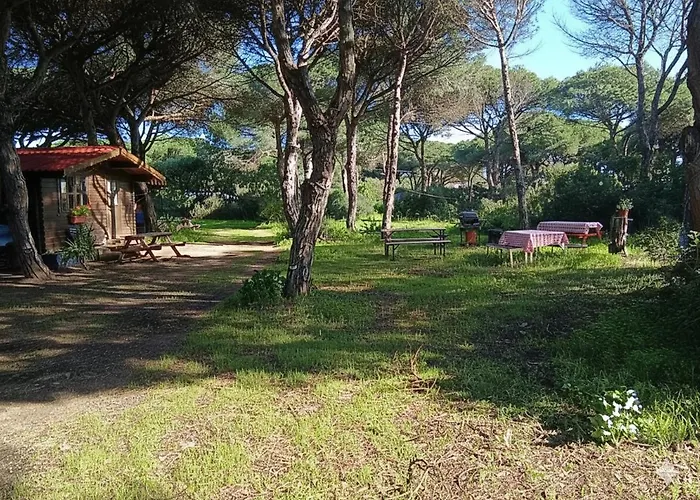 De Veron Appartement Conil De La Frontera